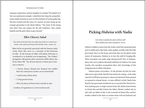 Breaking Bread in Galilee chapter heading